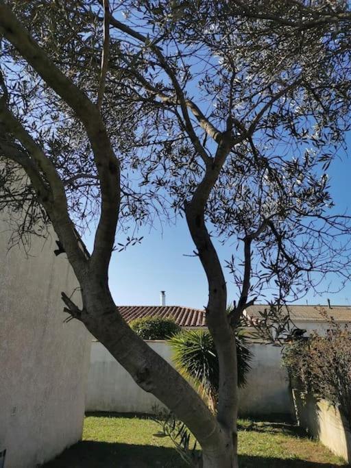 Belle villa de 90m2 au calme avec jardin et parking à 10 mn de la mer en voiture Fos-sur-Mer Exterior foto